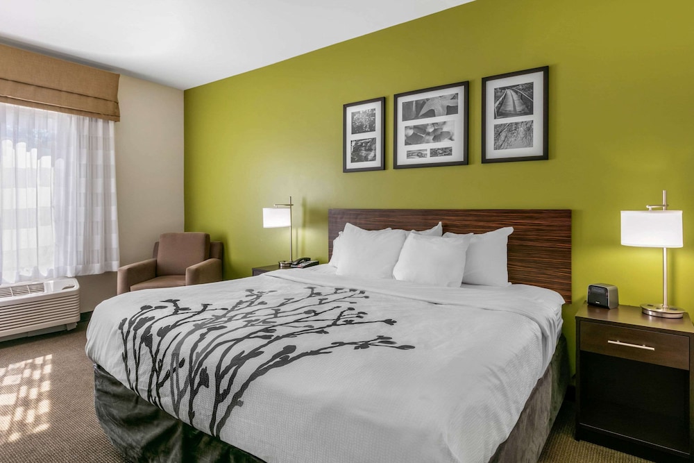 Standard Room, 1 King Bed with Sofa bed, Non Smoking (2 Person Sofa bed) photo 1