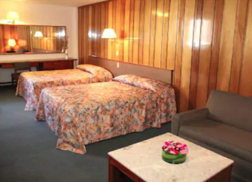Standard Double Room, 2 Double Beds photo 1
