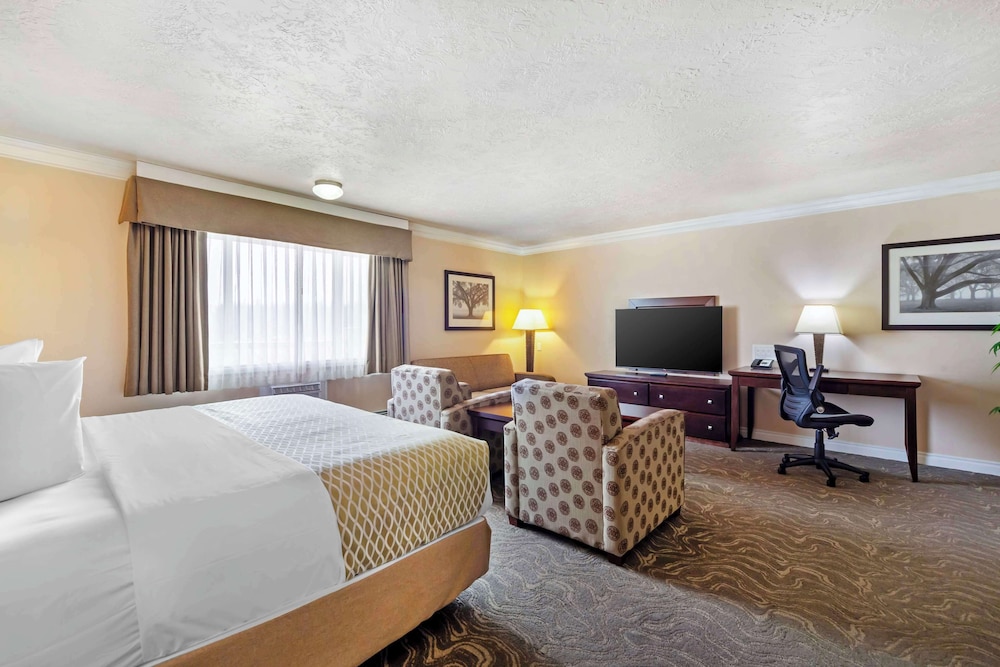 Suite, 1 King Bed, Non Smoking, Refrigerator & Microwave (No Pets in room type) - Photo 2
