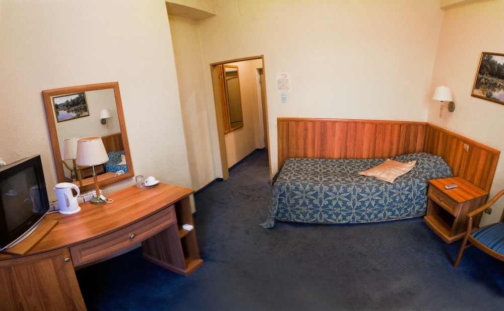 Superior Single Room photo 2
