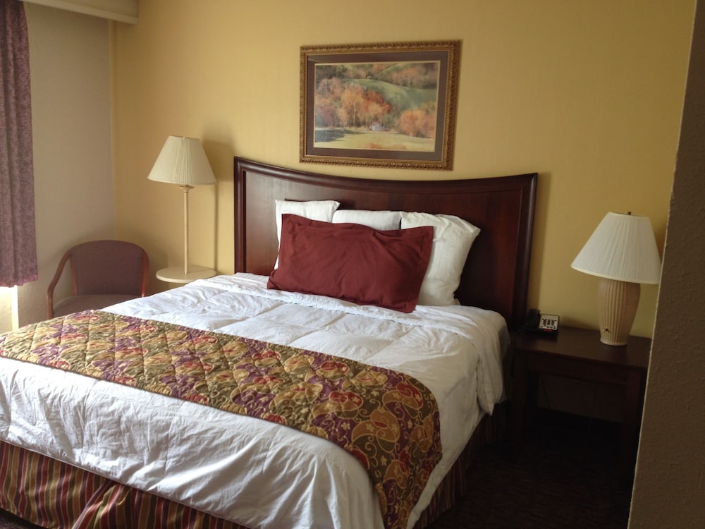 Superior Room photo 2