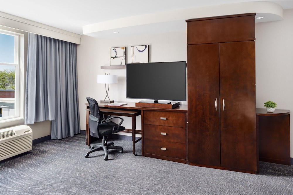 Suite, 1 Bedroom - Photo 4