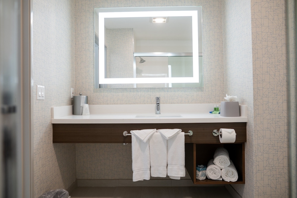 Room, 1 King Bed, Accessible (Roll-In Shower) - Photo 5