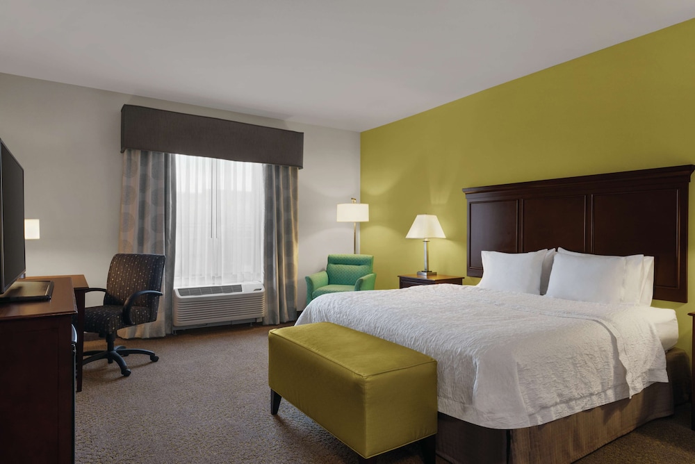 Room, 1 King Bed, Accessible (Mobility & Hearing, Roll-In Shower) photo 1