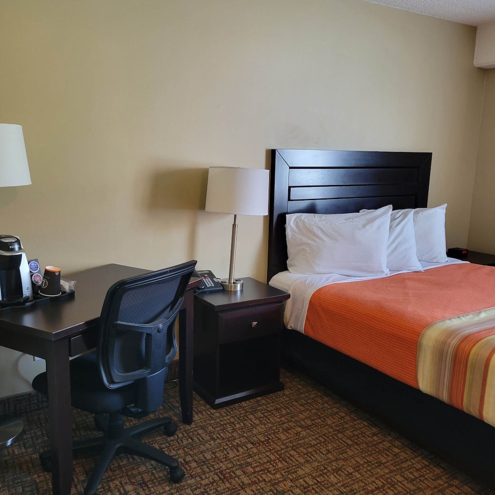Single Room, 1 Queen Bed, Ground Floor photo 1