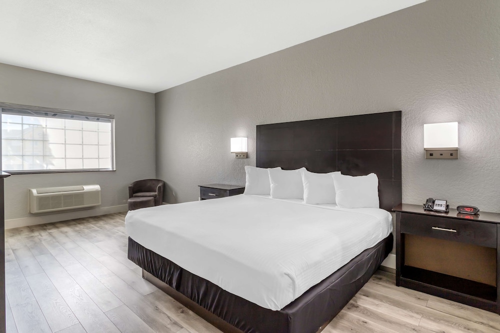 Standard Room, 1 King Bed, Non Smoking, Refrigerator & Microwave - Photo 1