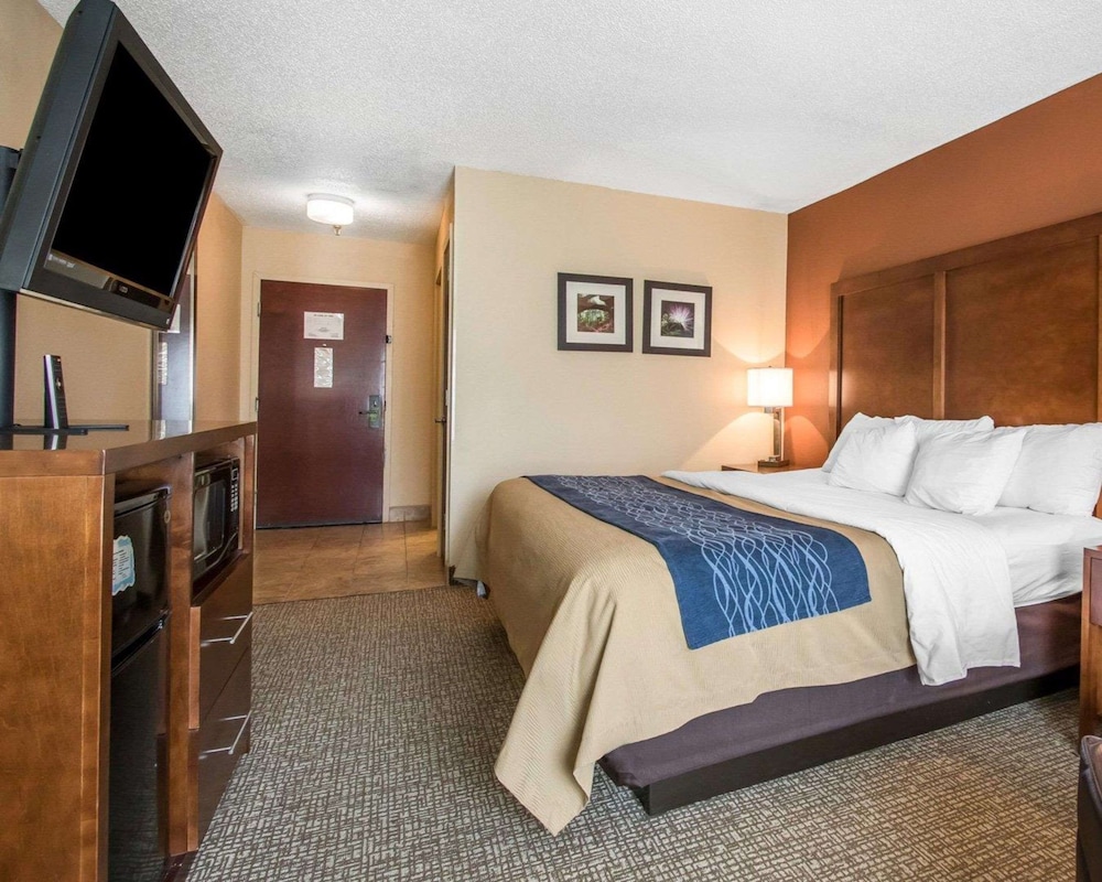 Standard Room, 1 King Bed, Non Smoking photo 3