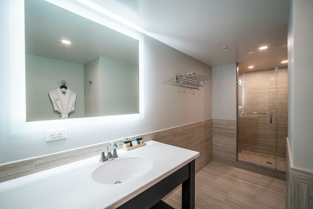 Premier King Executive Suite photo 3