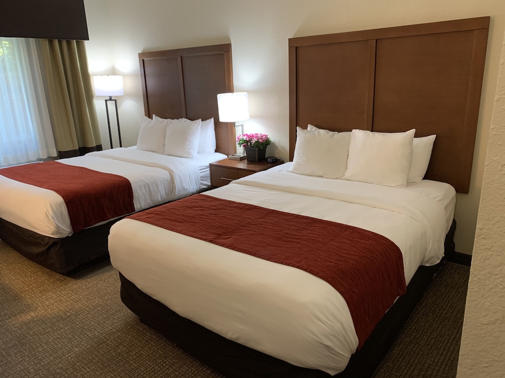 Room, 1 King Bed, Accessible, Non Smoking photo 2