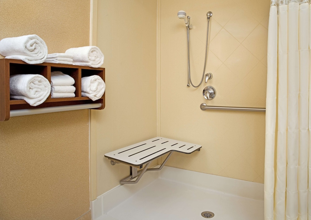 Room, 1 King Bed, Accessible, Non Smoking (Mobility & Hearing, Roll-in Shower) - Photo 5