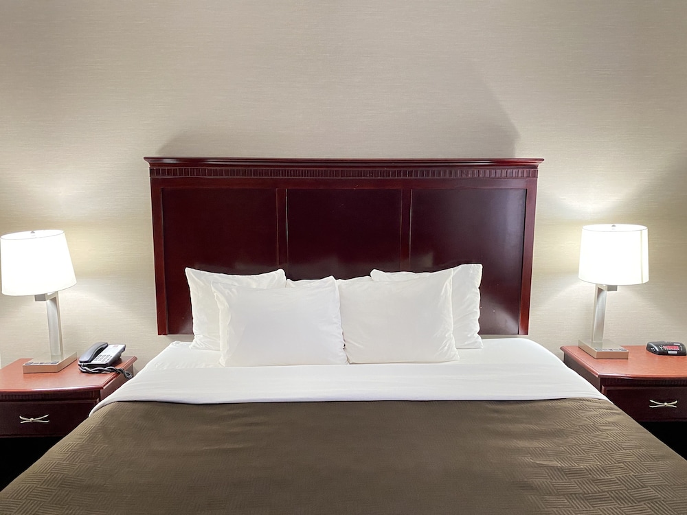 Suite, 1 King Bed with Sofa bed, Non Smoking (Efficiency) - Photo 7
