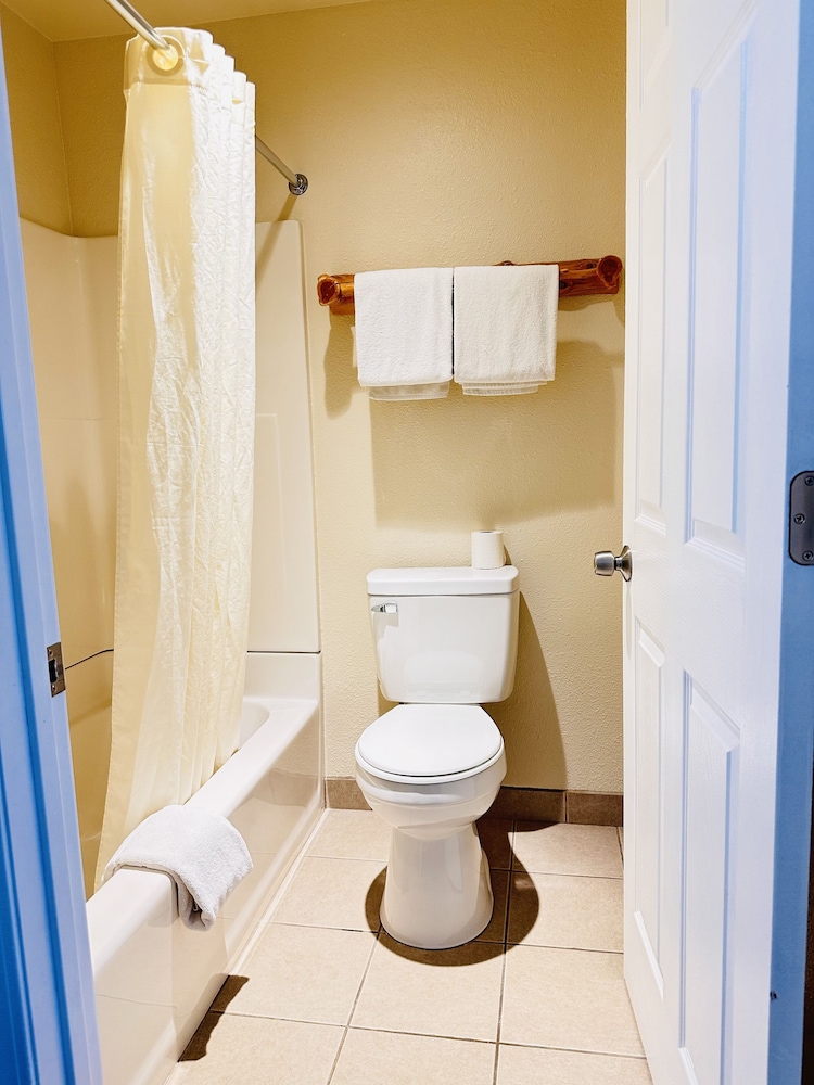 Suite, 1 Bedroom, Non Smoking photo 3