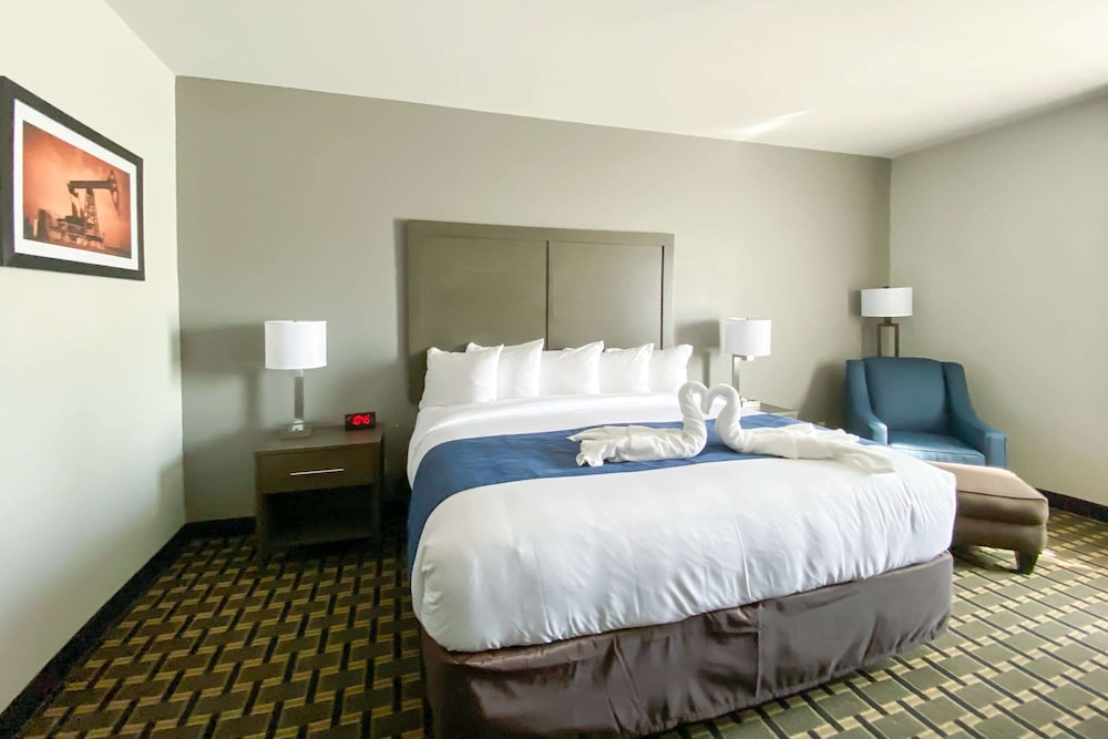 Executive Room, 1 King Bed, Non Smoking - Photo 1