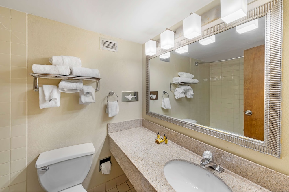 Suite, 1 King Bed, Non Smoking, Kitchenette (with Sofabed) photo 2