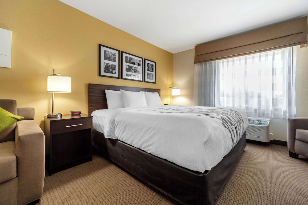 Suite, 1 King Bed with Sofa bed photo 1