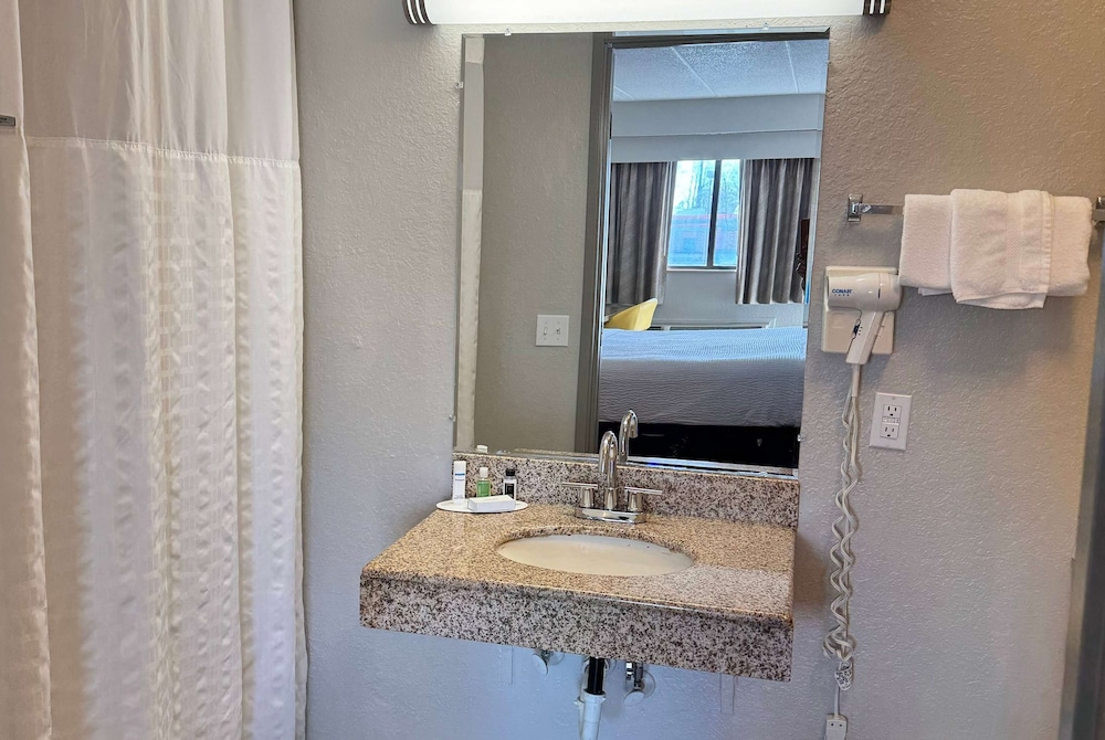 Standard Room, 1 King Bed, Accessible - Photo 6