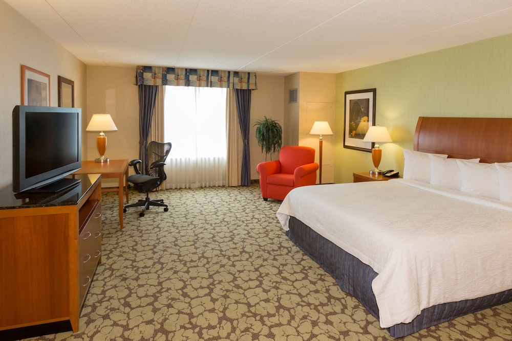 Deluxe Suite, 1 King Bed, Accessible (Roll-In Shower) - Photo 3