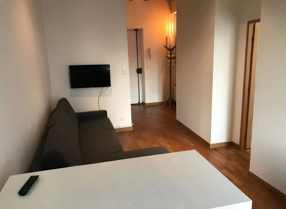Standard Apartment, Ensuite (1 CH-40M2) photo 3