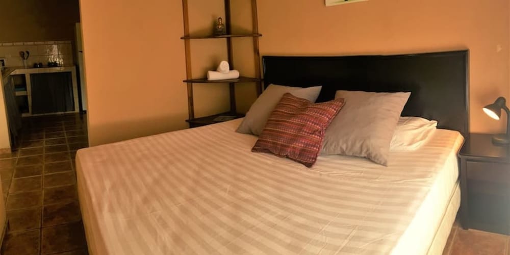 Standard Apartment, 1 King Bed photo 3