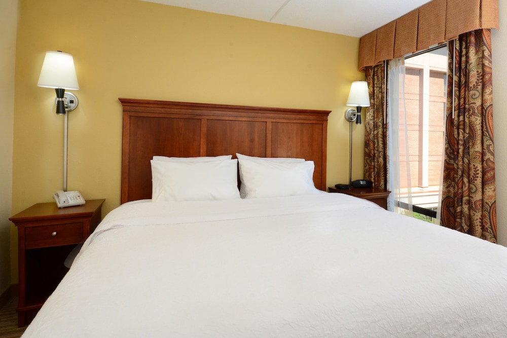 Suite, 1 King Bed, Accessible, Non Smoking (Hearing) - Photo 4