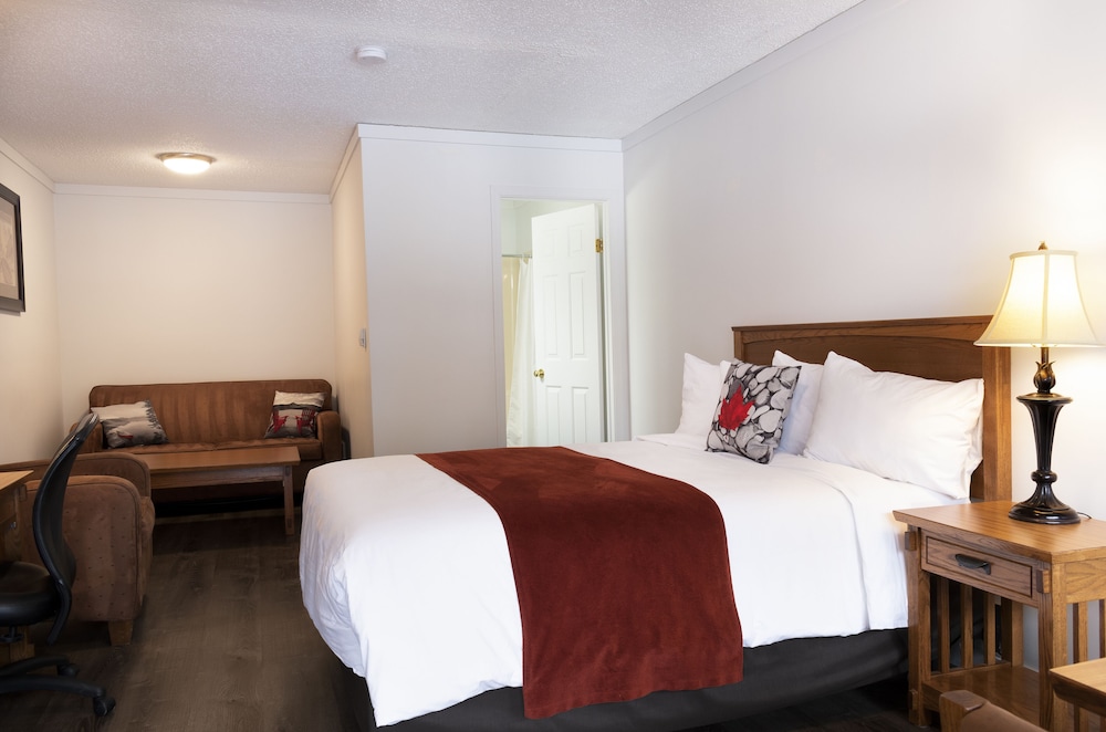 Deluxe Suite, 1 Queen Bed with Sofa bed, Refrigerator photo 1