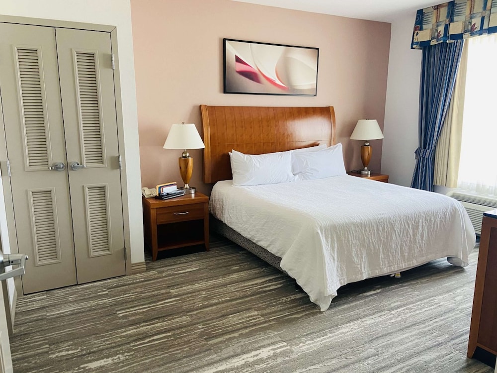 Suite, One King Bed photo 1