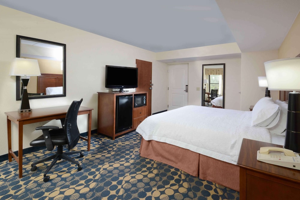 Room, 1 King Bed, Accessible, Non Smoking (Bath Tub) - Photo 4