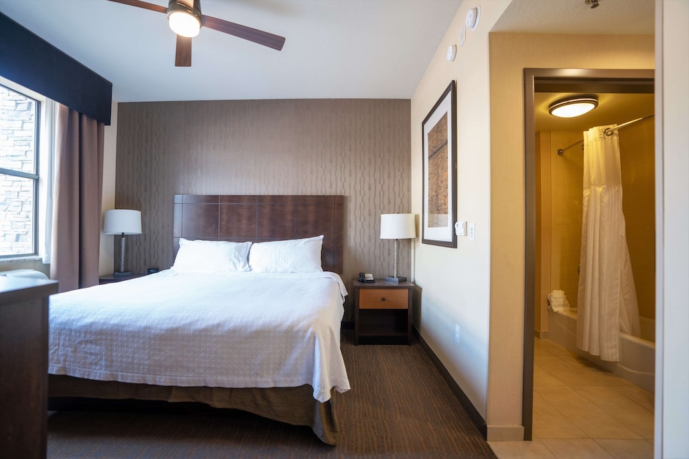 Suite, 1 King Bed photo 3