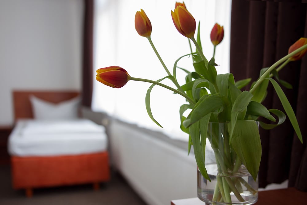 Single Room photo 1