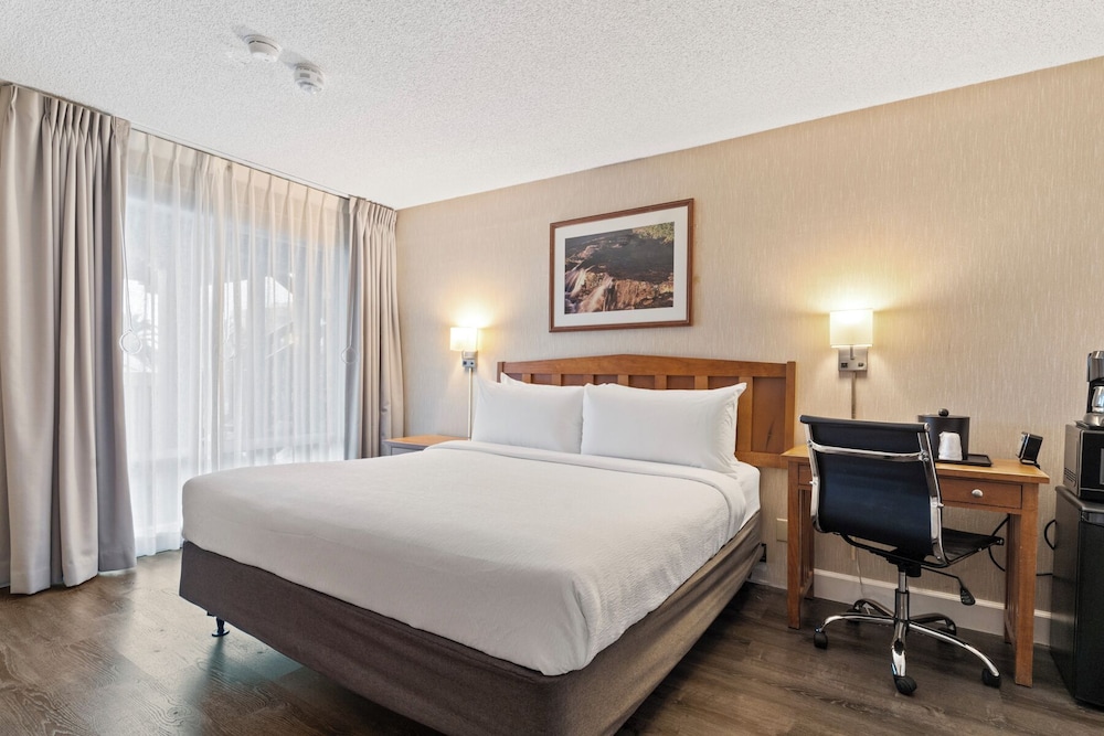 Single Room, 1 King Bed, Accessible photo 1