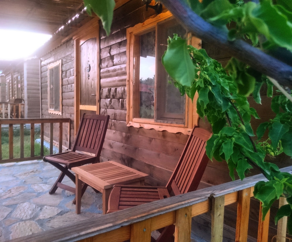 Family Room With Bunk Bed photo 3