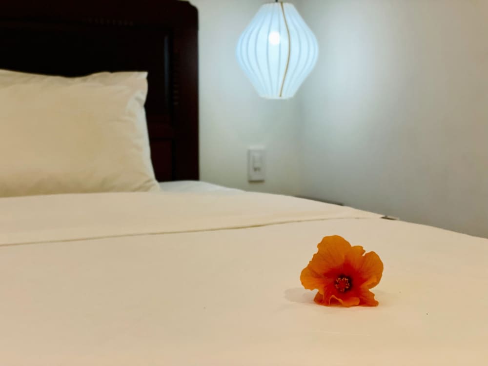 Deluxe Double Room - Photo 6