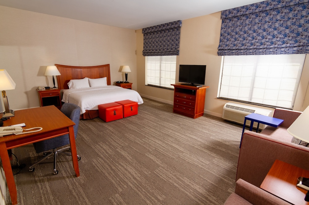 Suite, 1 King Bed, Accessible, Non Smoking photo 1