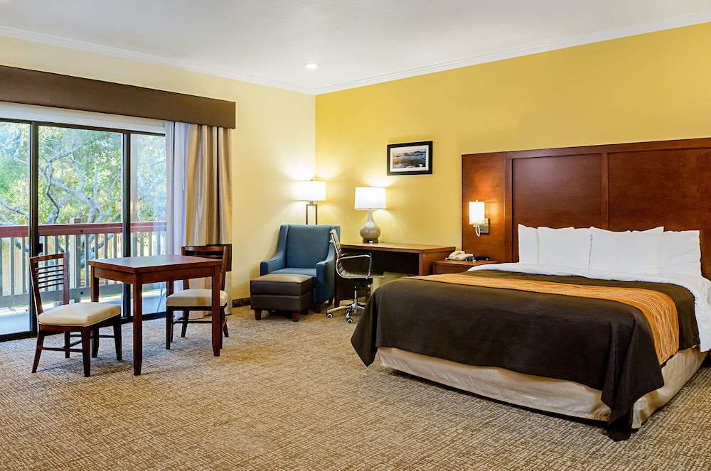 Suite, 1 King Bed, Non Smoking - Photo 1