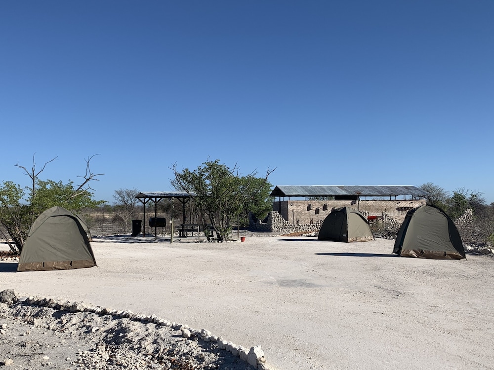 Group Campsite photo 1