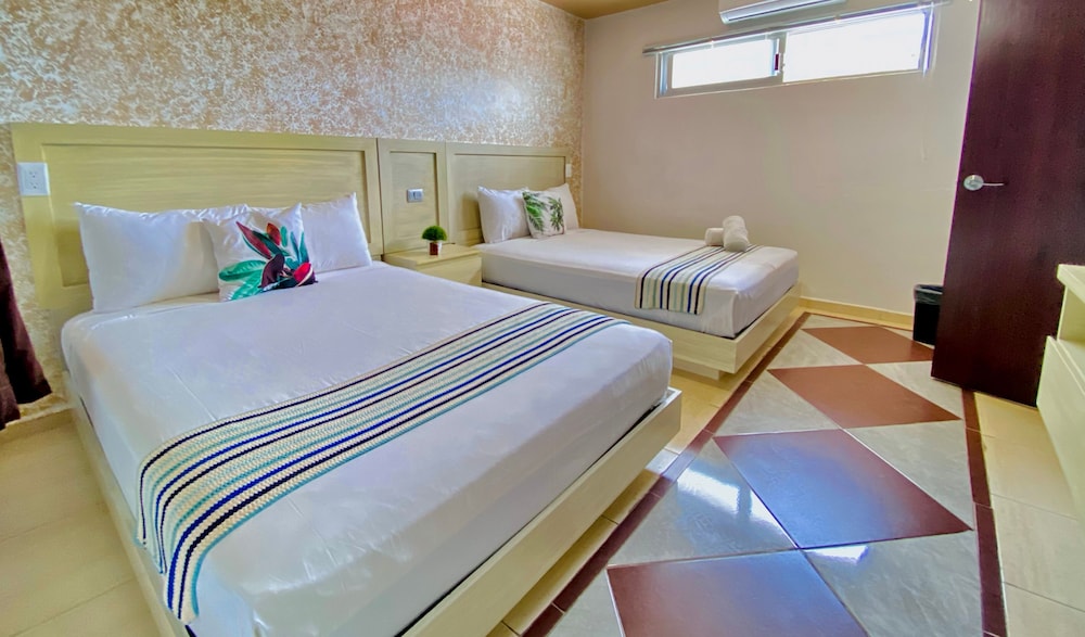 Basic Room (101)