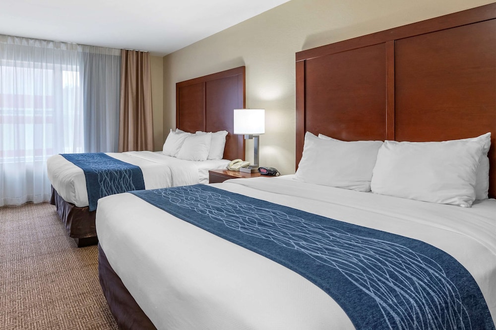 Studio Suite, Multiple Beds, Non Smoking - Photo 1