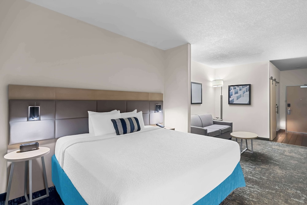 Suite, 1 King Bed, Non Smoking, Refrigerator & Microwave (With Sofabed) - Photo 4