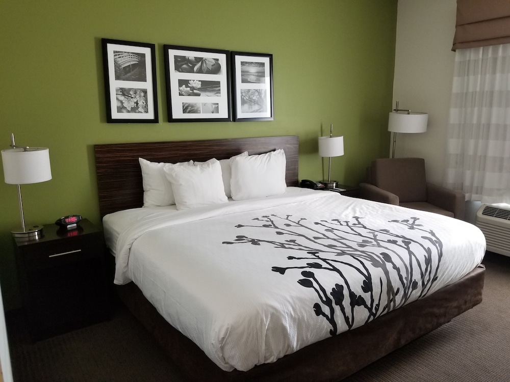 Standard Room, 1 King Bed, Non Smoking photo 1