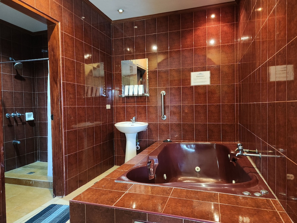 Jacuzzi Suite - Photo 7