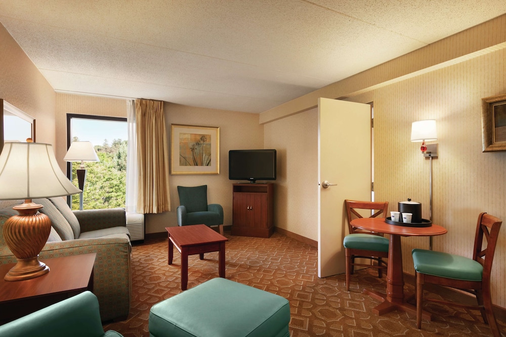 Suite, 1 Queen Bed, Accessible, Non Smoking photo 1