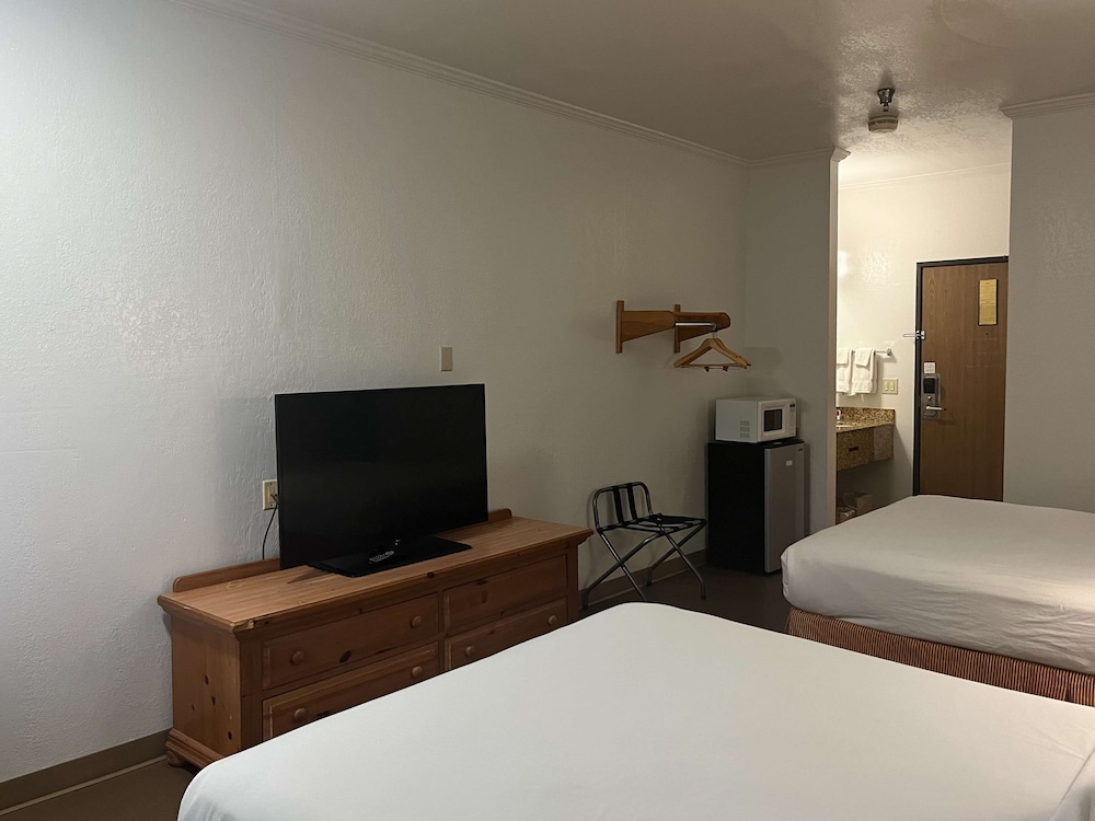 Standard Suite, Multiple Beds, Non Smoking, Refrigerator & Microwave - Photo 4