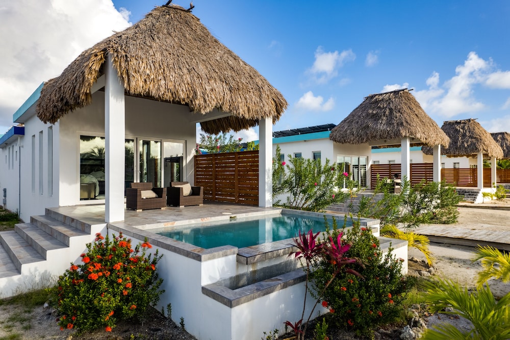 Deluxe Studio, 1 King Bed, Private Pool photo 2