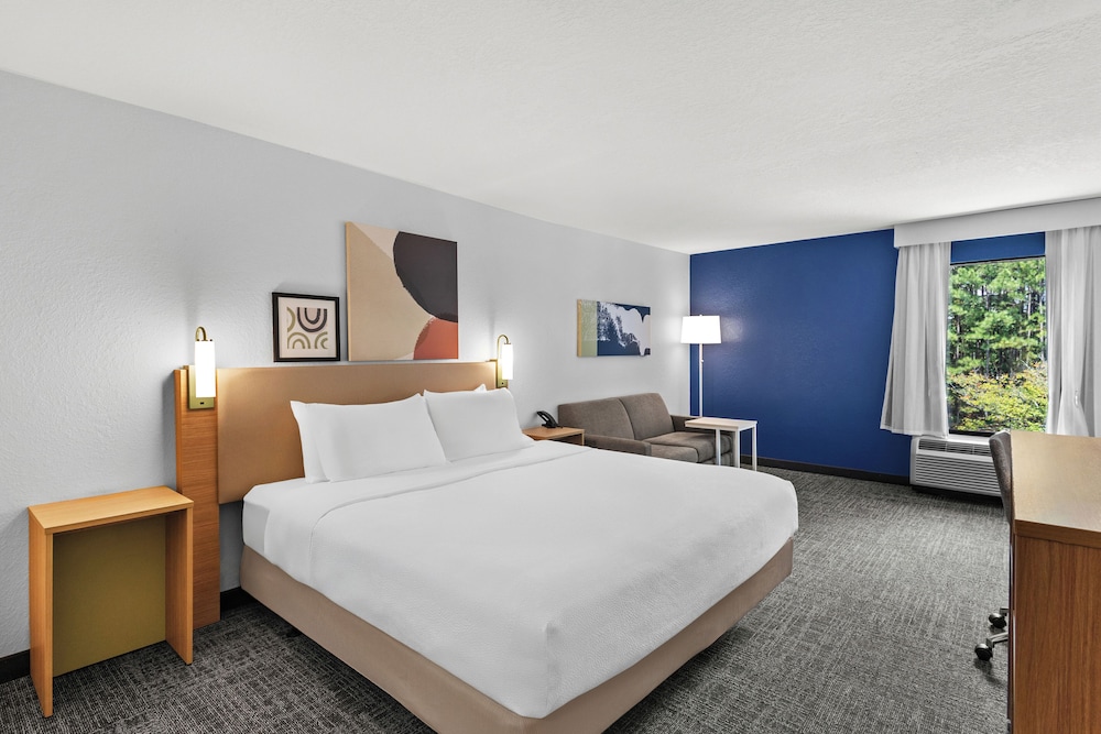 Room, 1 King Bed, Accessible (Roll-In Shower) - Photo 1