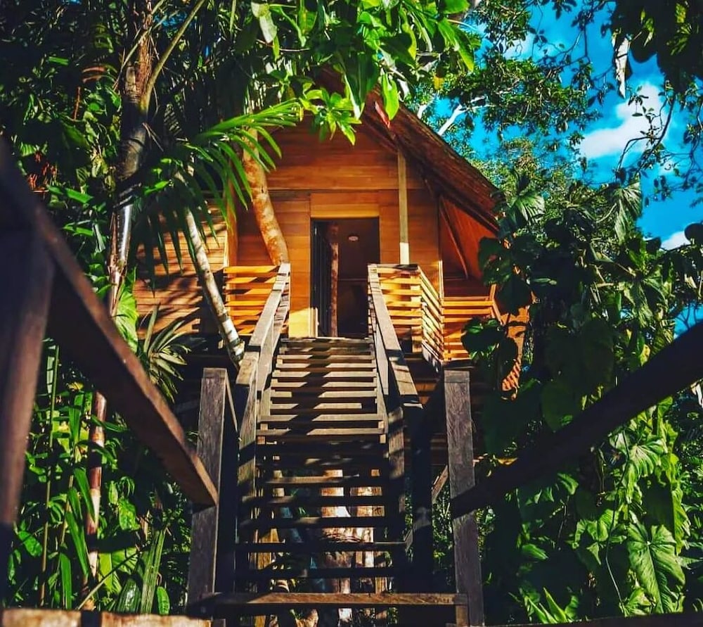 Tree House photo 3
