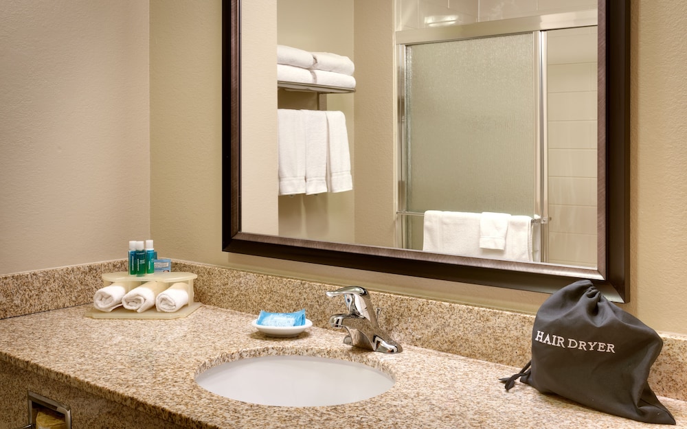 Suite, 1 Bedroom - Photo 6