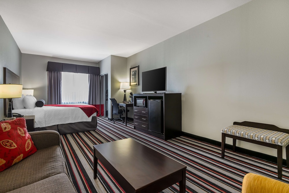 Standard Room, 1 King Bed, Non Smoking, Refrigerator & Microwave photo 3