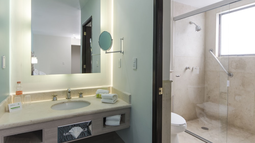 Suite, 1 King Bed - Photo 12