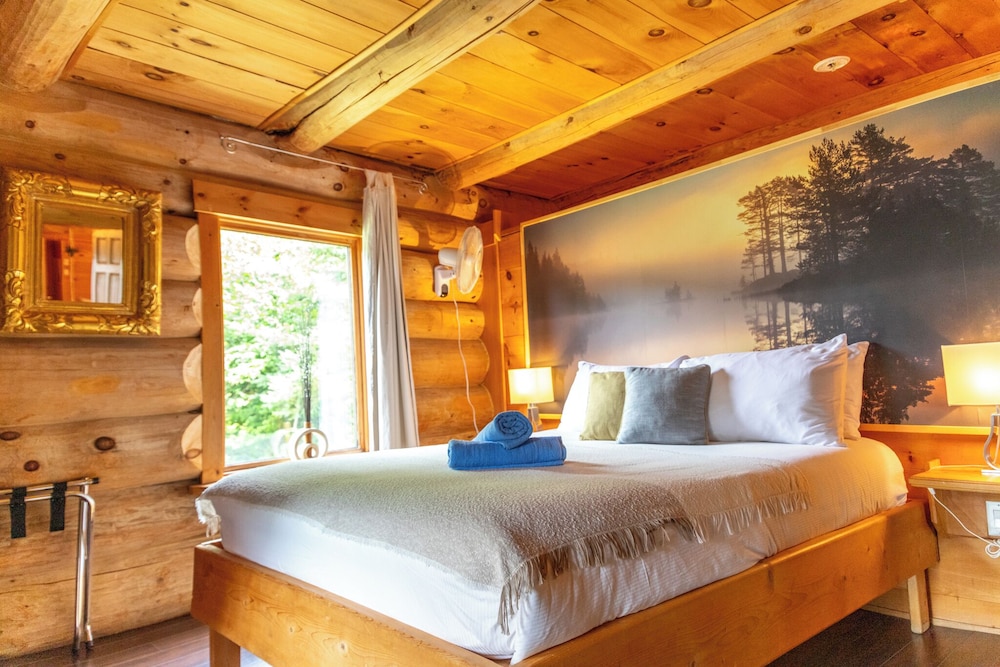 Classic Room, 1 Queen Bed photo 1