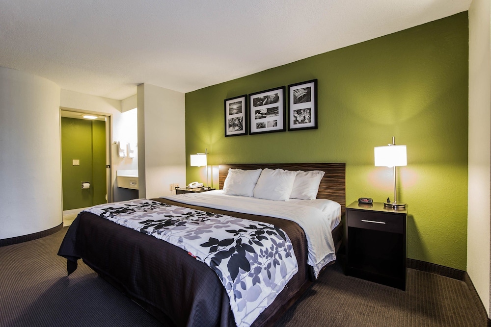 Standard Room, 1 King Bed, Non Smoking - Photo 4